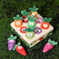 Thumbnail for Sensory Carrots – Feeling & Picking - Sensory Toys