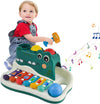 GatorBeats – Musical & Fun – Hammer Xylophone Toy