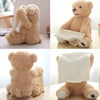 Teddy Tunes™ - Bear Melody - Peekaboo teddy bear