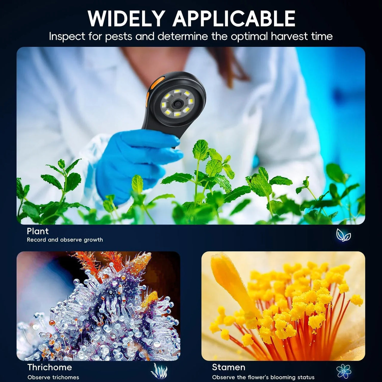 Pocket Microscope 500X - Small & Powerful - Hand Magnifier