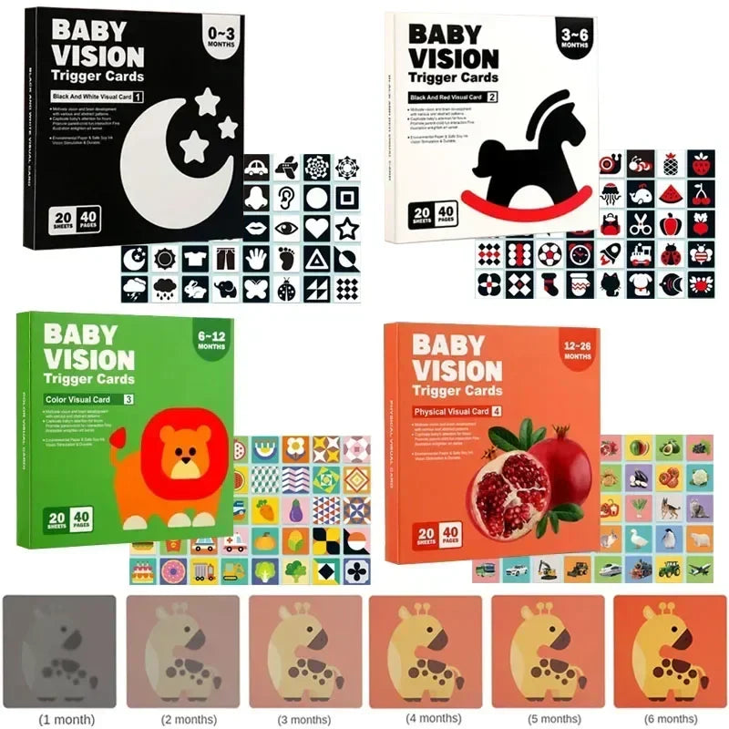 VisionBook – Educational & Informative – Baby Cognition Picture Book