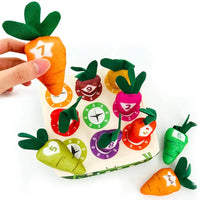 Thumbnail for Sensory Carrots – Feeling & Picking - Sensory Toys
