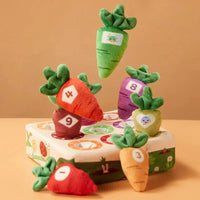 Thumbnail for Sensory Carrots – Feeling & Picking - Sensory Toys