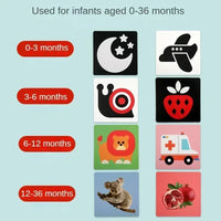 Thumbnail for VisionBook – Educational & Informative – Baby Cognition Picture Book