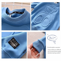 Thumbnail for LittleCloud – Comfortable & Cozy – Sweater with 3D Bear Design