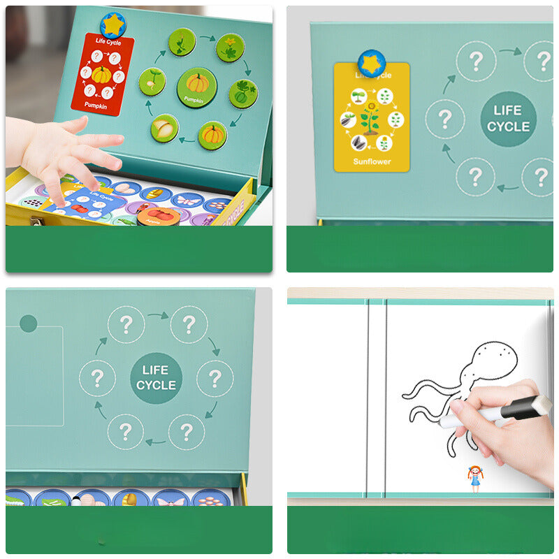 LifeCycle™ - A fun way to learn about real life - Puzzle Box