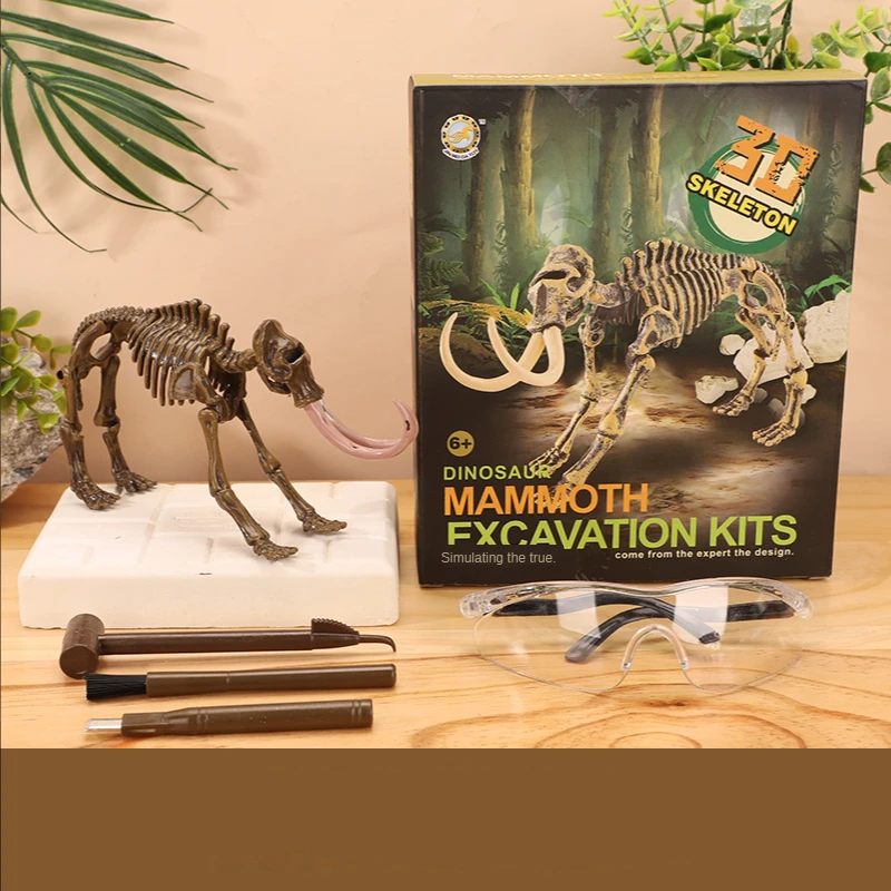 DinoDig – Exciting and educational – Fossil excavation kit
