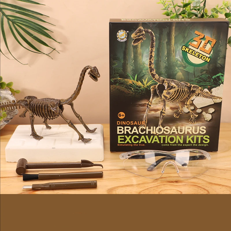 DinoDig – Exciting and educational – Fossil excavation kit