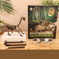 Thumbnail for DinoDig – Exciting and educational – Fossil excavation kit