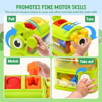 Thumbnail for DinoMatch – Educational & Interactive – Dinosaur Sorting Game
