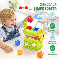 Thumbnail for DinoMatch – Educational & Interactive – Dinosaur Sorting Game