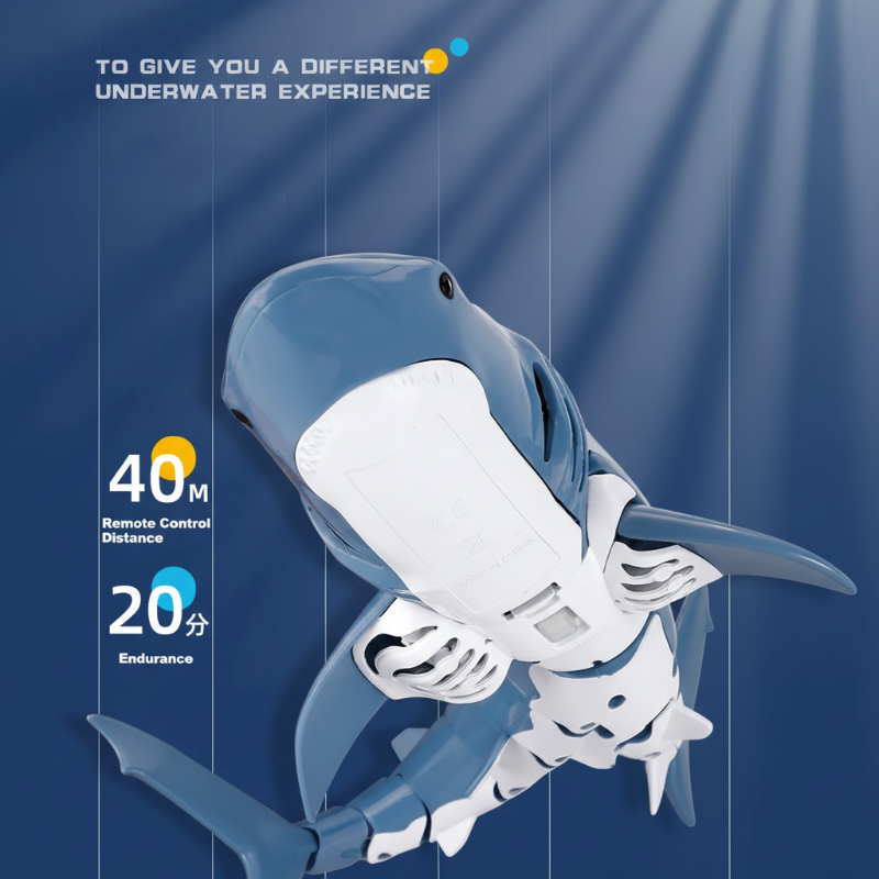 SeaBuddy – Creative & Active – RC Haai