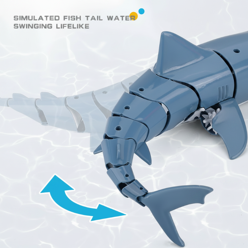 SeaBuddy – Creative & Active – RC Haai