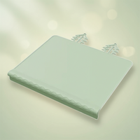 Thumbnail for BabySafe – Practical & Hygienic – Silicone Placemat with Raised Edge