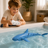 SeaBuddy – Creative & Active – RC Haai