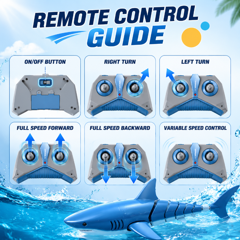 SeaBuddy – Creative & Active – RC Haai
