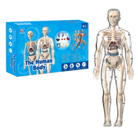 Thumbnail for Human Anatomy – Learning & Discovery - Human Body Model Kit