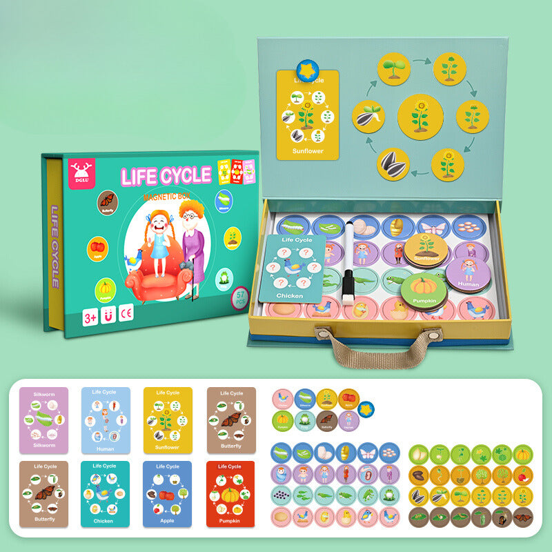 LifeCycle™ - A fun way to learn about real life - Puzzle Box