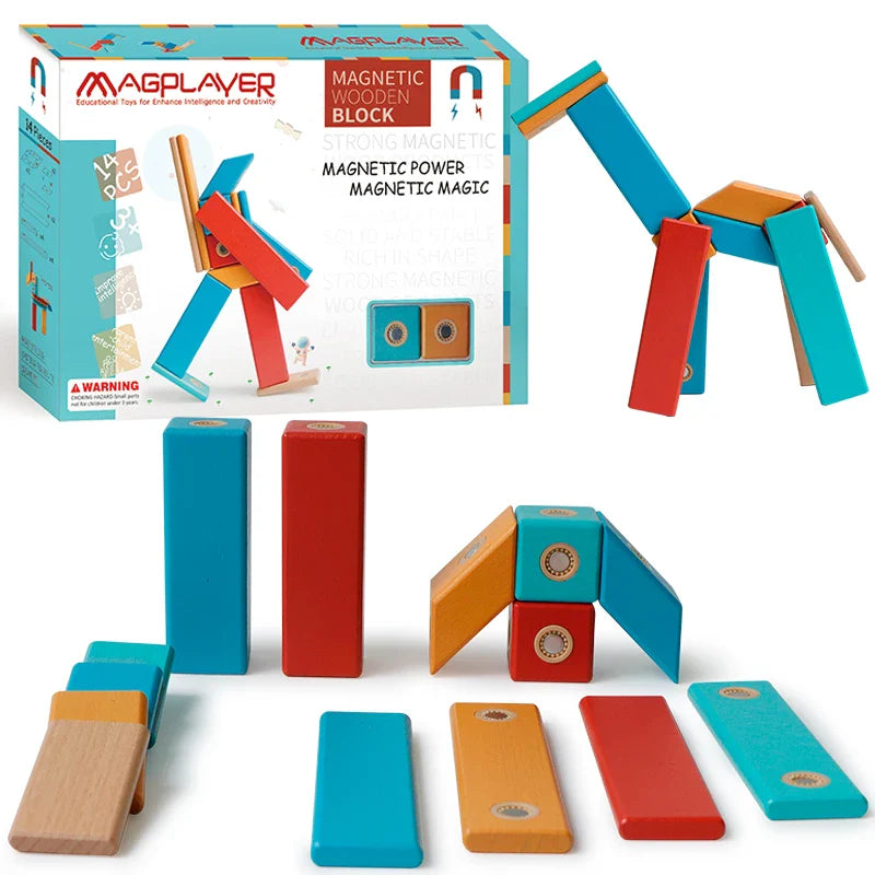 Stick & Snap™ – Magnetic Magic - Magnetic construction toys