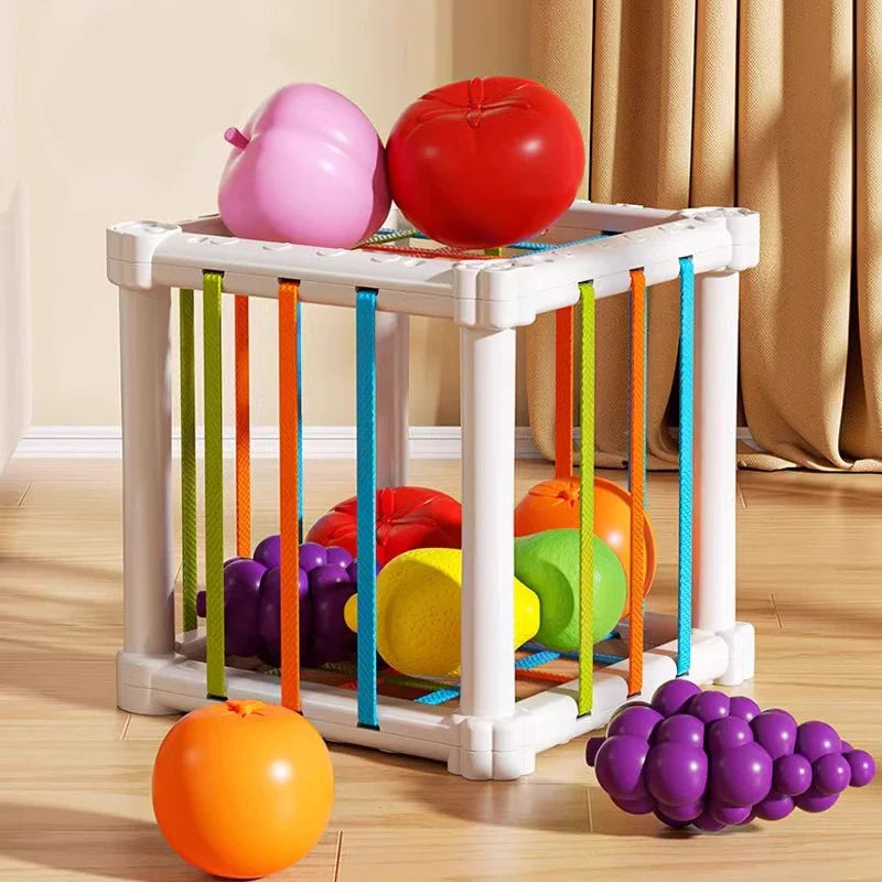 Fruit Box™ - Cut, Play, Learn - Fruit in box