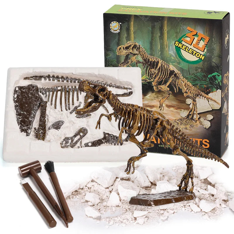 DinoDig – Exciting and educational – Fossil excavation kit