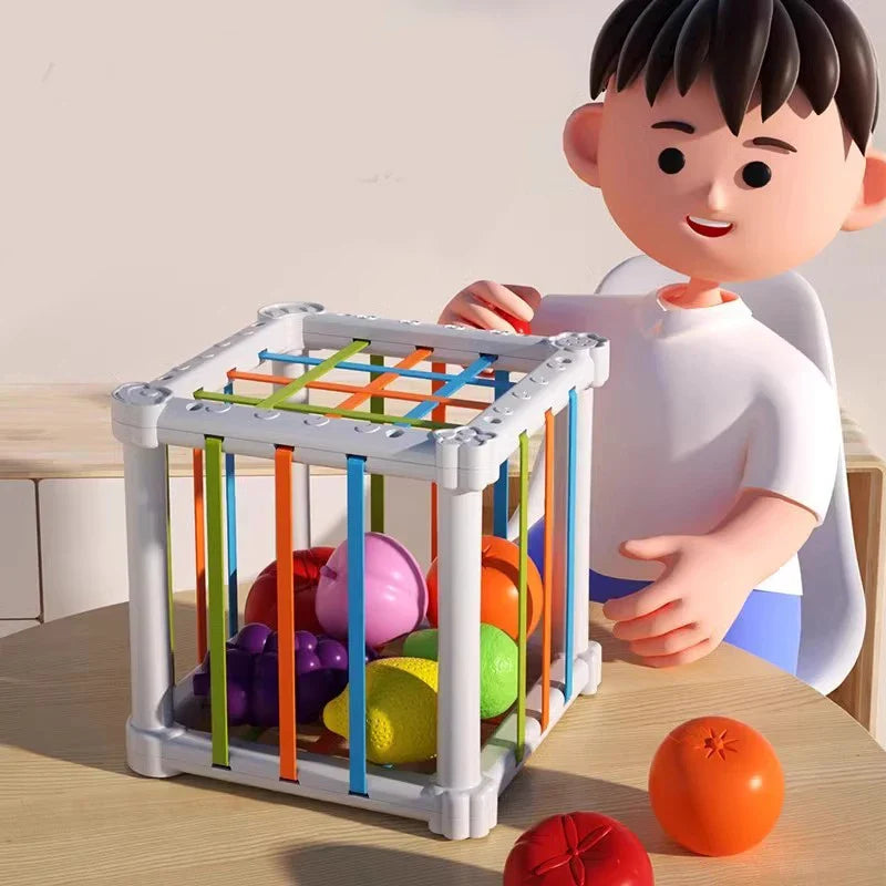 Fruit Box™ - Cut, Play, Learn - Fruit in box