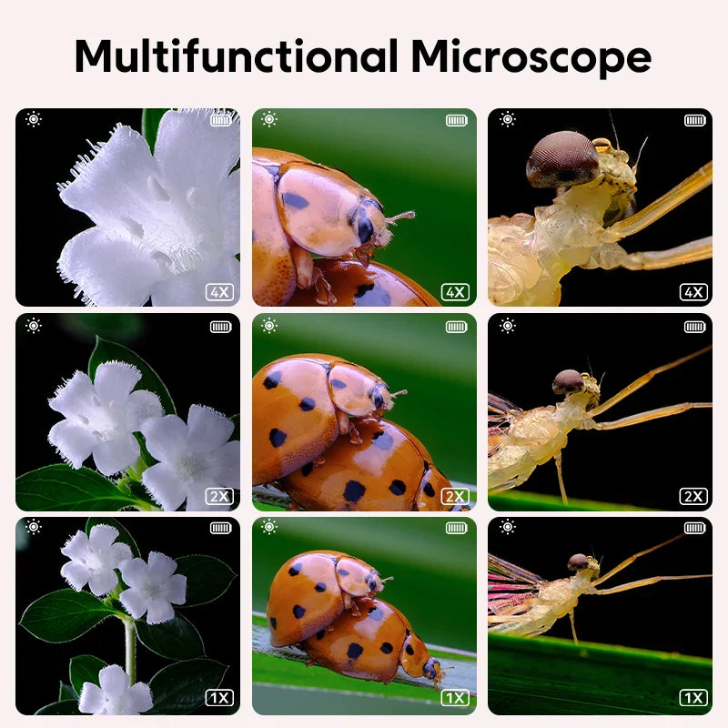 Mini Kids Microscope™ - Science Under The Lens - Microscope