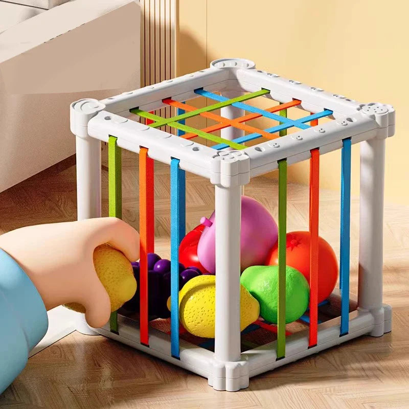 Fruit Box™ - Cut, Play, Learn - Fruit in box