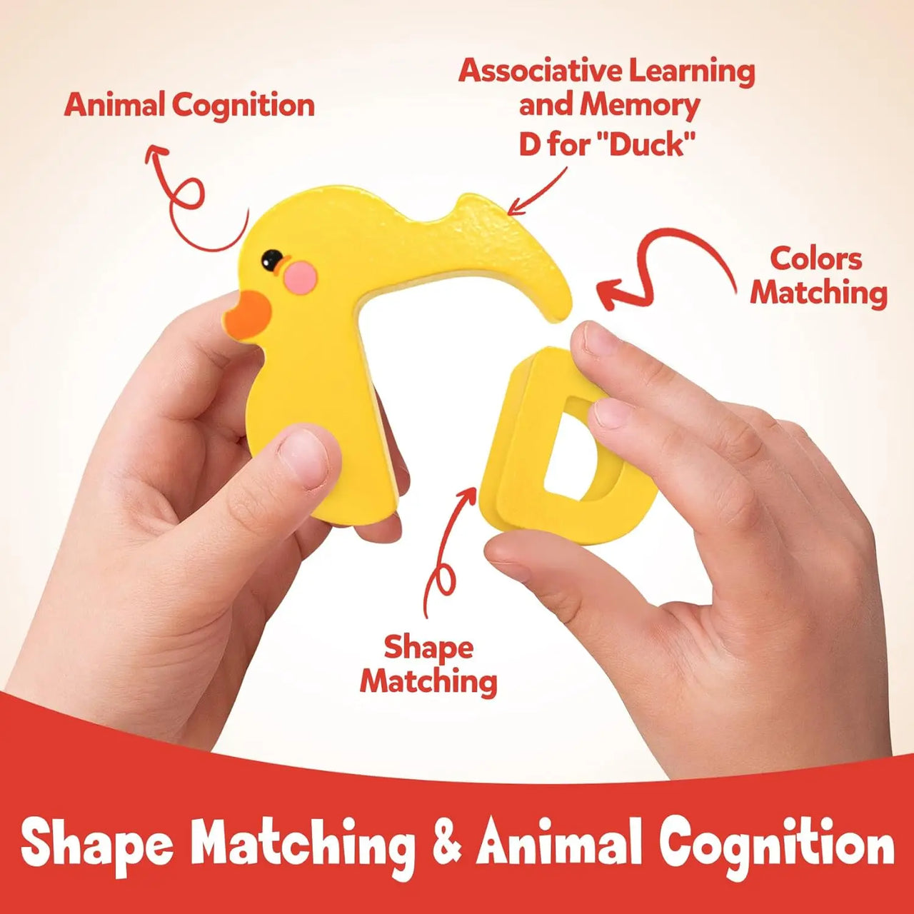 ZooLetters – Playful & Educational – Animal Alphabet Puzzle for Children