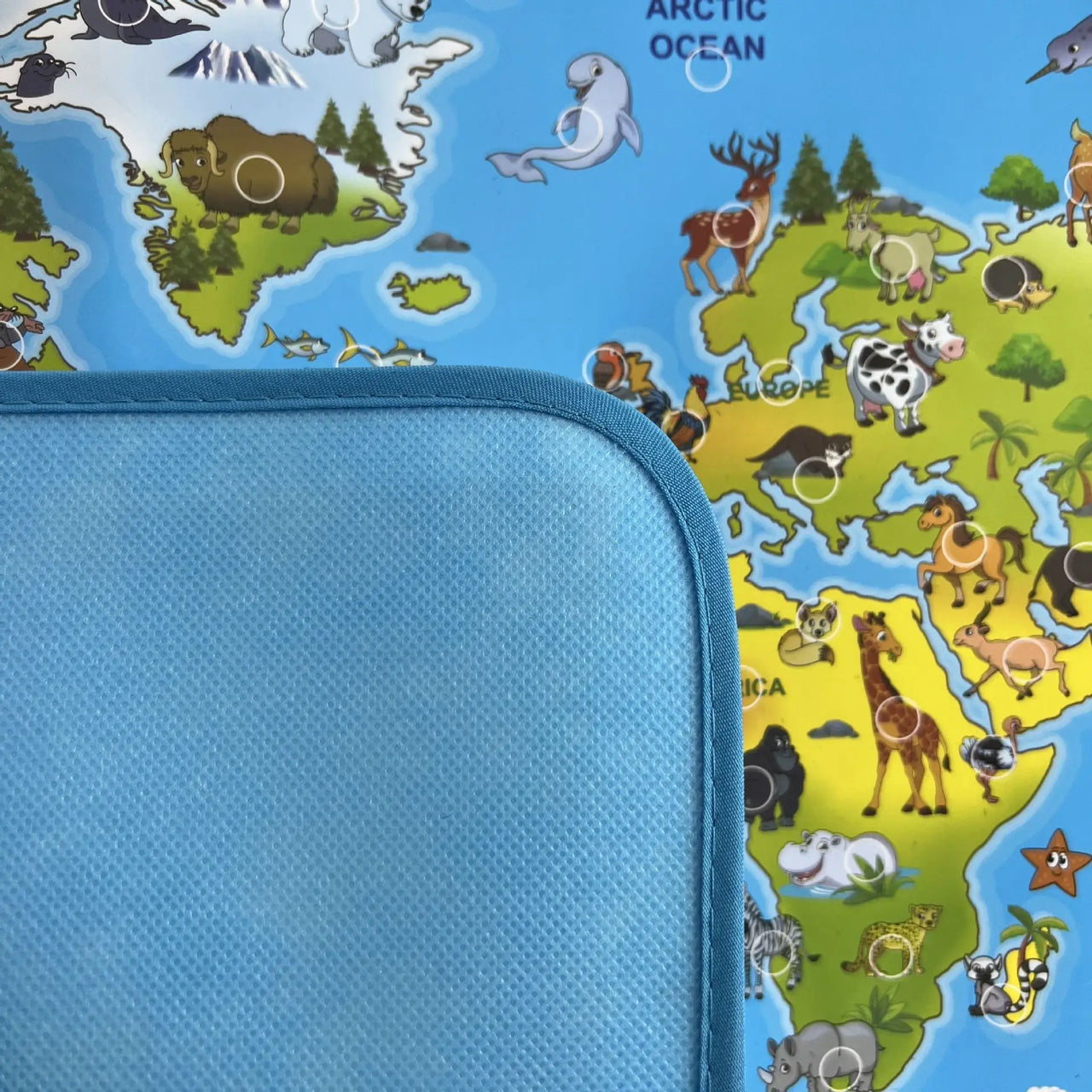 LittleExplorers – Learning & Playing – Animal World Map