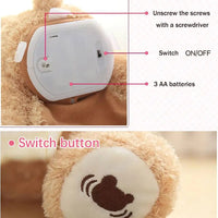 Thumbnail for Teddy Tunes™ - Bear Melody - Peekaboo teddy bear
