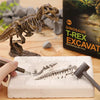 DinoDig – Exciting and educational – Fossil excavation kit
