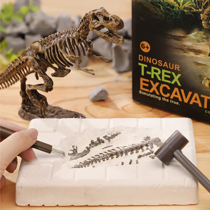 DinoDig – Exciting and educational – Fossil excavation kit