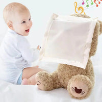 Thumbnail for Teddy Tunes™ - Bear Melody - Peekaboo teddy bear