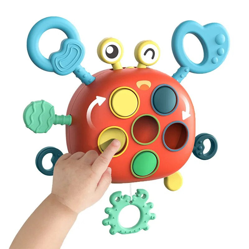 Sensory Crab™ - Exploring the senses - Sensory toys