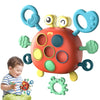 Sensory Crab™ - Exploring the senses - Sensory toys