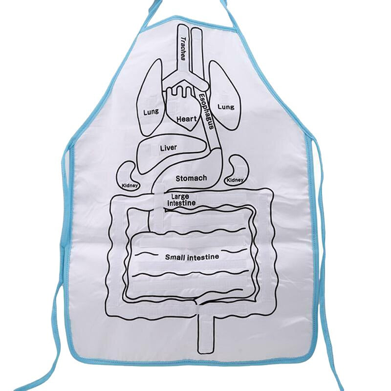 Anatomy Apron™ | Explore the body interactively - Human anatomy apron