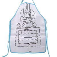 Thumbnail for Anatomy Apron™ | Explore the body interactively - Human anatomy apron