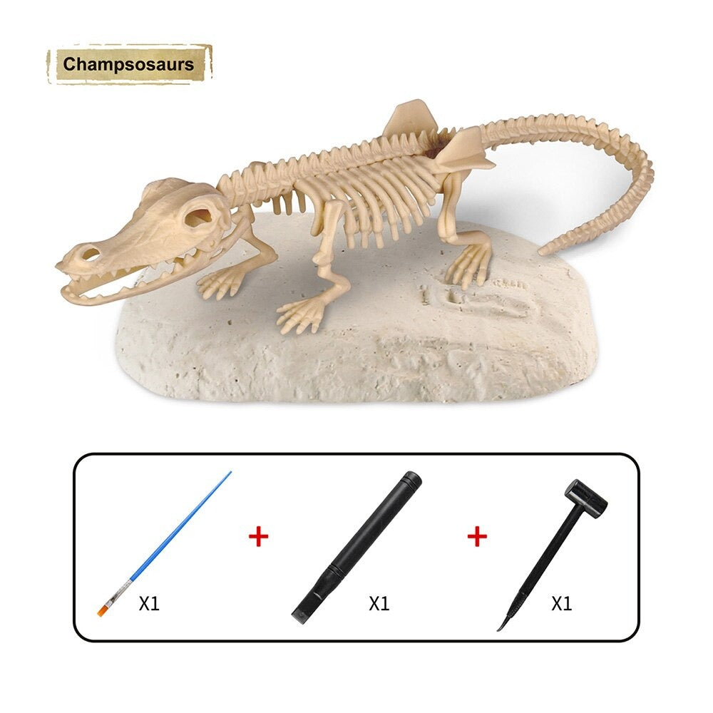 Dino Fossil™ - Dig for fossils - Excavation set