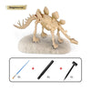 Dino Fossil™ - Dig for fossils - Excavation set