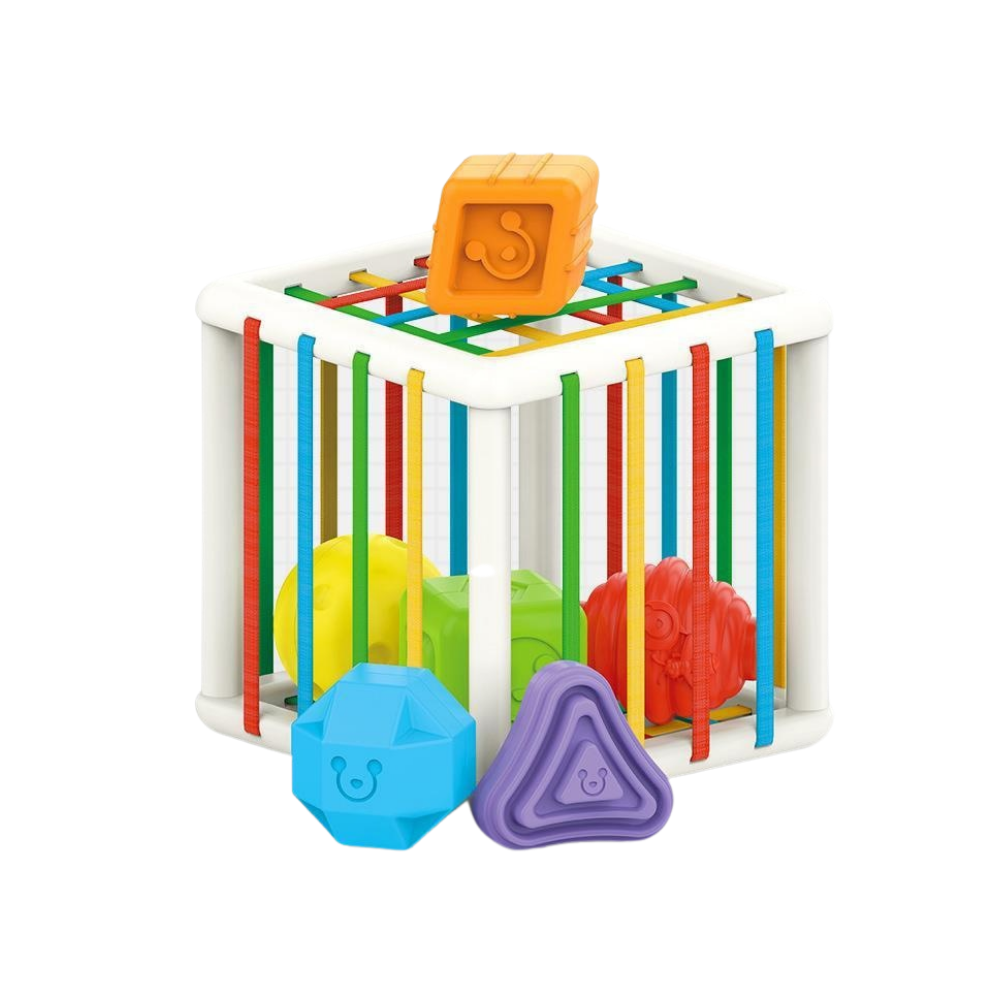 Woods™ l Sort and learn - Teaching cube for children