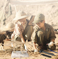 Thumbnail for Dino Fossil™ - Dig for fossils - Excavation set