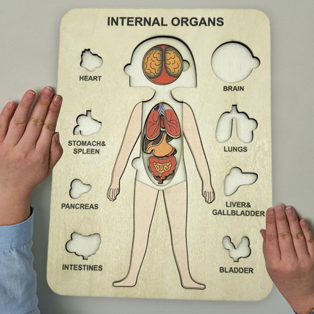 Woods™ | Discover the human body - Educational puzzle